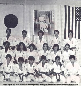 kyokushin cal-1-1