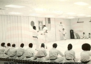 scan0073-1